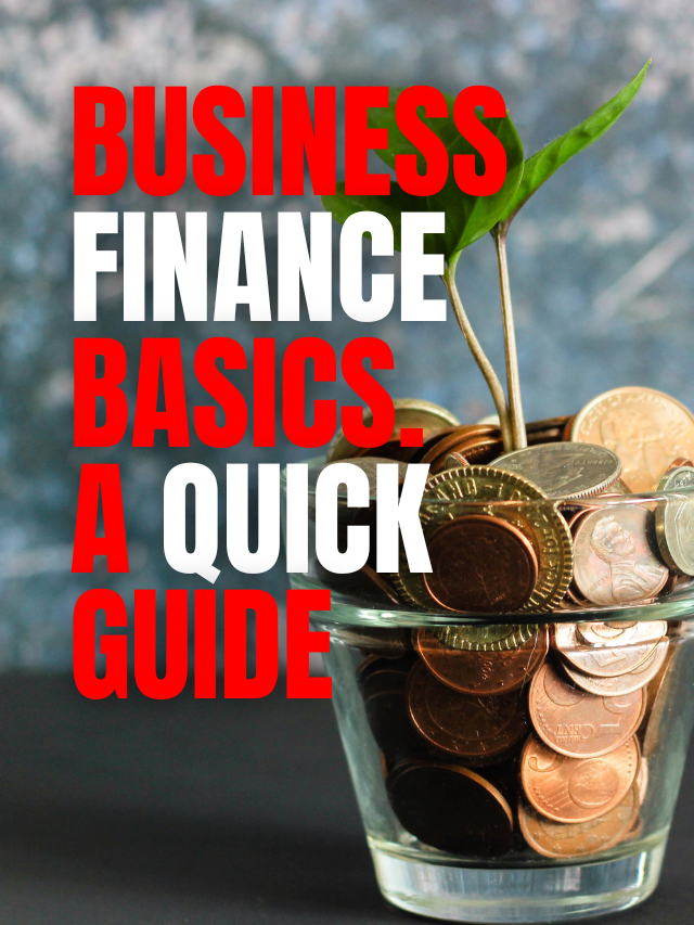 Business Finance Basics: A QUick Guide - Being DIplomatic